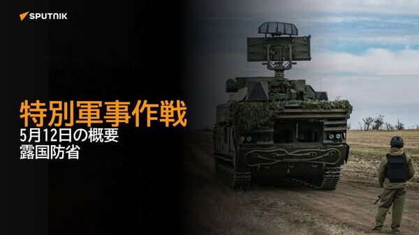 【特別軍事作戦 5月12日の概要 露国防省】 - Sputnik 日本