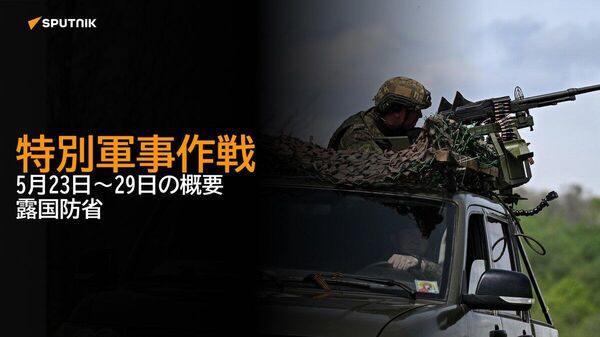 【特別軍事作戦 5月23日～29日の概要 露国防省】 - Sputnik 日本
