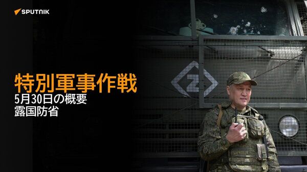 【特別軍事作戦 5月30日の概要 露国防省】 - Sputnik 日本