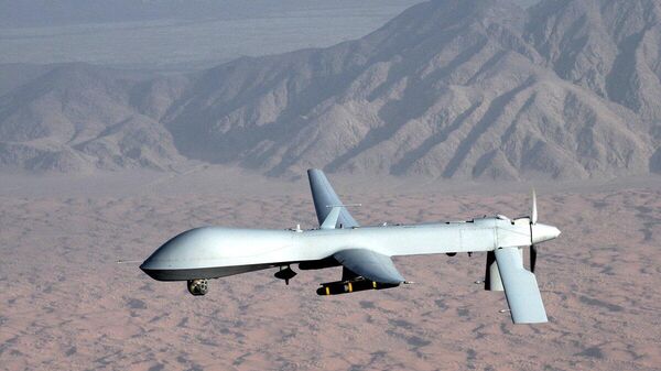 【イラン革命防衛隊、米無人機MQ-1プレデターを撃墜と主張】 - Sputnik 日本