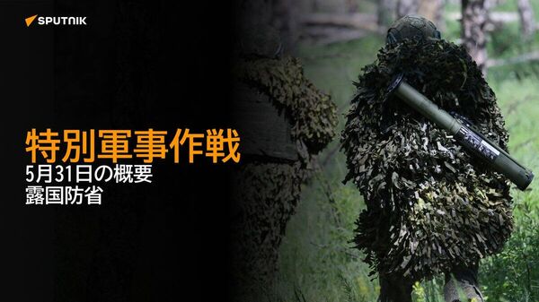 【特別軍事作戦 5月31日の概要 露国防省】 - Sputnik 日本