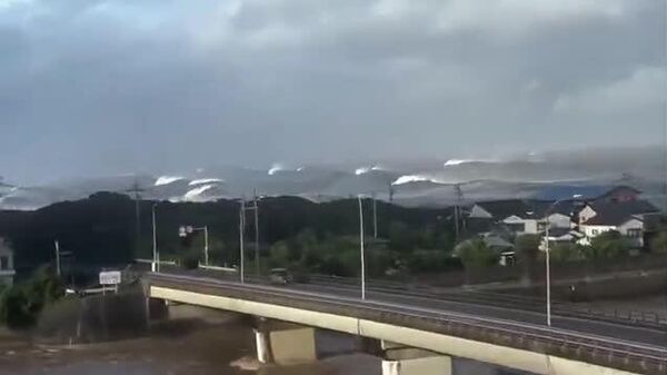 😳 異様に盛り上がった水面と、次々と押し寄せる高波は台風通過後の宮崎県日南市の海の様子。映像はSNSで拡散されている。 - Sputnik 日本