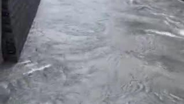 【台風6号 東京都心でも川増水】 - Sputnik 日本