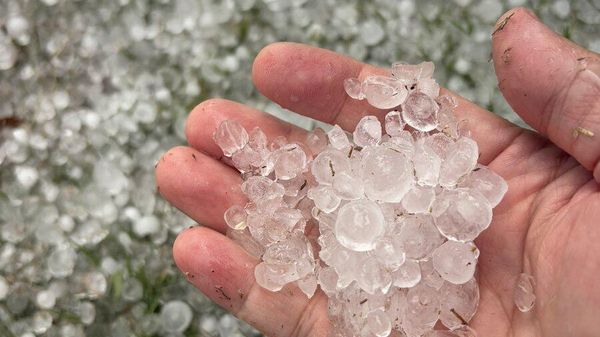 【茨城県で「雹まじりの大雨」】 13日午後、水戸市などで雨と雹が激しく降った。関東北部を中心に大気の状態が不安定になっているという。SNSには「氷の粒」の画像や動画が投稿されている。 - Sputnik 日本