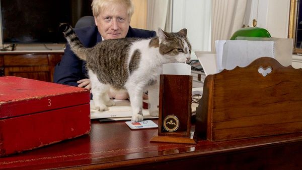 【猫「ラリー」のSNSアカウントは、英首相たちの辞任に関してどんなつぶやきをしてきたのか？】(2/2) 🔸キア・スターマー現首相の辞任発表とアンディ・バーナム氏が次期英首相になる可能性について： - Sputnik 日本