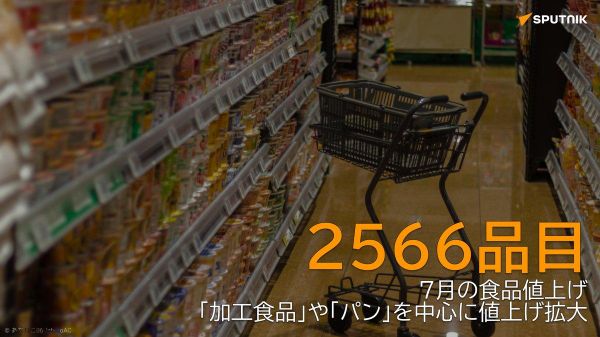 【7月の食品値上げ2566品目 中東情勢と円安が押し上げ要因に】 - Sputnik 日本