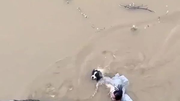 【絶対、助けるから！ 濁流に落ちた犬を追って自分も 洪水の広西チワン族自治区】 - Sputnik 日本