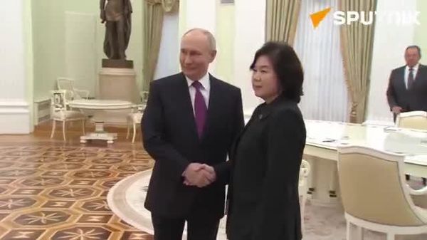 【露朝関係は全ての方向で発展している＝プーチン大統領が北朝鮮外相と会談】 - Sputnik 日本