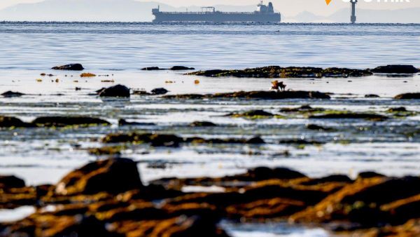 【日本、5、6月に露産石油を257億円分輸入】 - Sputnik 日本