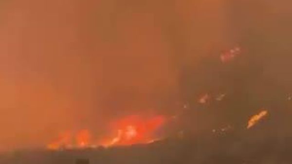 【トルコ西部で山火事 2万8000人態勢で消火活動続く】 - Sputnik 日本