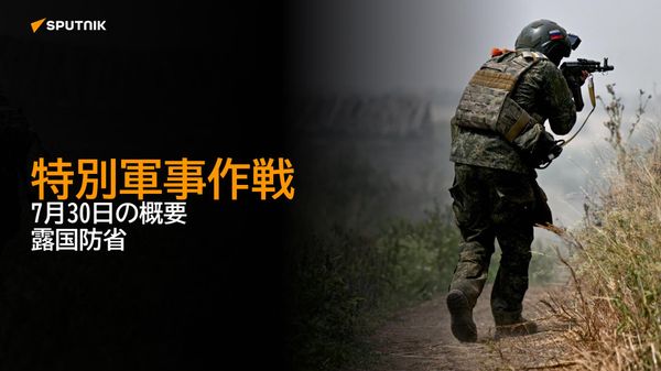 特別軍事作戦　7月30日の概要　露国防省 - Sputnik 日本