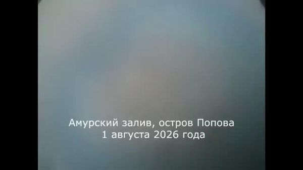 【ロシア近海で巨大クラゲ】 - Sputnik 日本