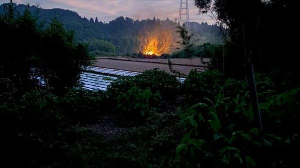 【最大震度7を観測した熊本県宇城市の竹やぶで火災】 この火災をめぐり、小泉防衛相は、自衛隊への災害派遣要請を受理したことを明らかにした。報道によると、地震の影響で水が不足しているほか、台風の接近に伴う強風によって消化活動が難航している。 - Sputnik 日本