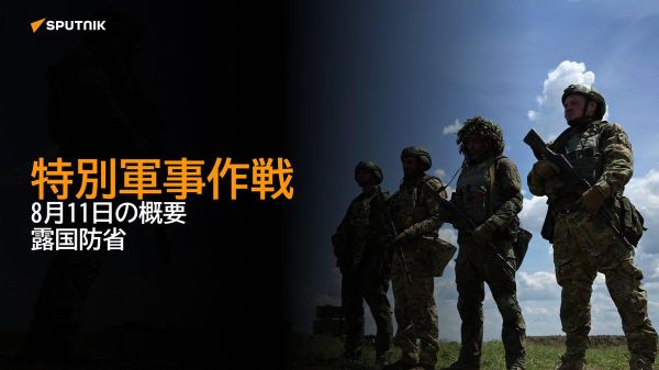 【特別軍事作戦 8月11日の概要 露国防省】 - Sputnik 日本