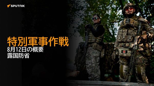 【特別軍事作戦 8月12日の概要 露国防省】 - Sputnik 日本