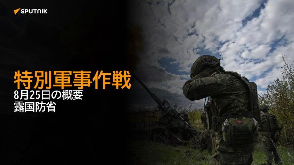 【特別軍事作戦 8月25日の概要 露国防省】 - Sputnik 日本