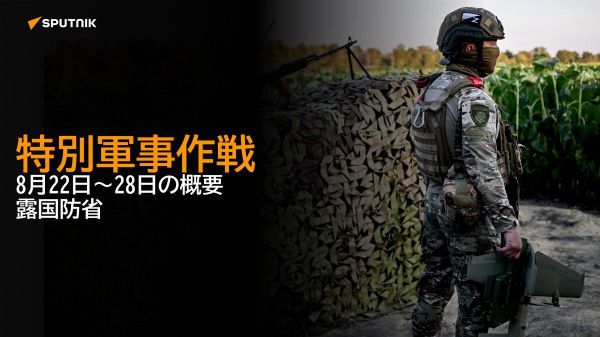 【特別軍事作戦 8月22日～28日の概要 露国防省】 - Sputnik 日本