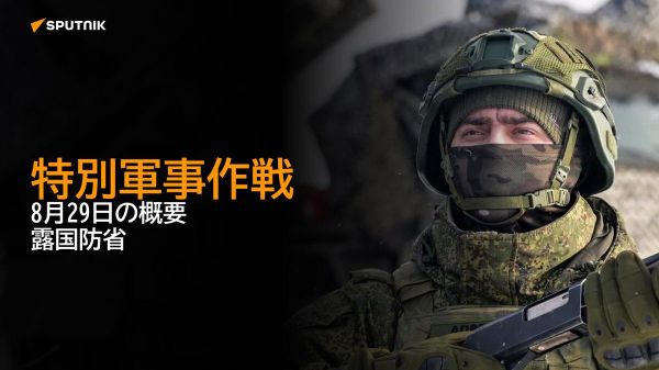 【特別軍事作戦 8月29日の概要 露国防省】 - Sputnik 日本