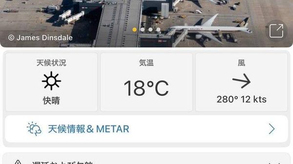 【英航空管制トラブル 空の便に大きな影響】 - Sputnik 日本