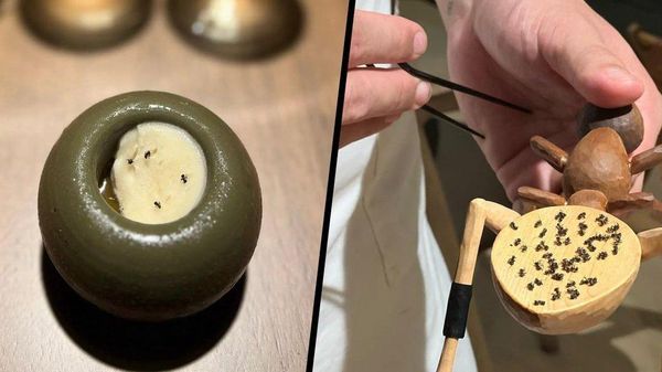 【皆さんの「味の冒険」の境界線はどこですか？ 実は違法だったある「珍しい」デザート】 - Sputnik 日本