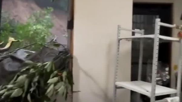 【台風25号 裏山が崩れて住宅に被害】 土砂崩れでキッチンやリビングの窓ガラスや壁などが破損した様子を、神奈川県に住むニックネームsuzu_illustrationさんがSNSに投稿した。その場に居合わせた人たちは全員無傷で、地区の会館に避難したという。 - Sputnik 日本
