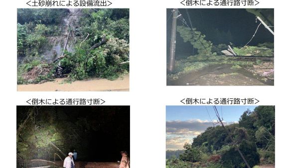 【台風25号の影響で千葉の停電続く 復旧見通し立たない地域多数】 東京電力パワーグリッドによると、千葉県内では24日午前1時半ごろの時点で約1万7890軒が停電している。主に台風による土砂崩れや倒木、樹木の配電設備への接触などが原因という。 - Sputnik 日本