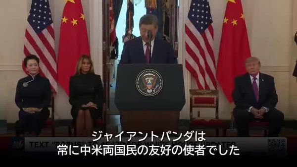 【米国にパンダ2頭が「数日で到着」＝習主席】 - Sputnik 日本