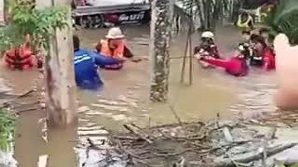 【「逃げたら大変！」 タイで400キロ超の巨大ワニを避難】 - Sputnik 日本