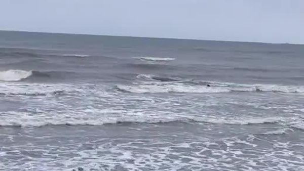 【千葉・匝瑳の海岸に再びクジラ 潮吹く姿が目撃される】 SNS投稿によると、クジラは浅瀬におり、弱っているように見えたという。千葉県はクジラについて「生きているため、県が対応するような状況ではない」としているとのこと。 - Sputnik 日本
