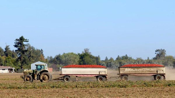 【露産ディーゼル取引めぐる米上院の調査は「米国民に対する紛れもない妨害工作」＝専門家】 - Sputnik 日本