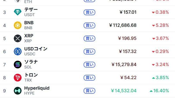 【バイナンス攻撃で仮想通貨急落 犯人の手がかりも？】 - Sputnik 日本