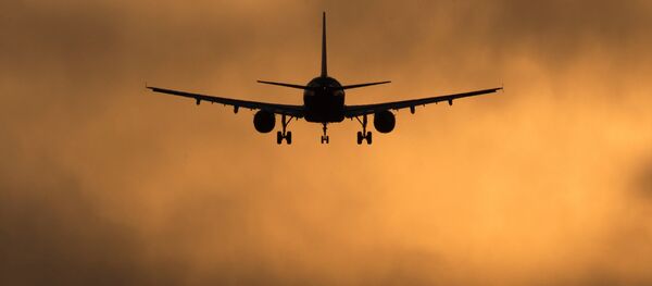 欧州航空各社、イラン乗り入れ再開の構え 欧州航空各社、イラン乗り入れ再開の構え - Sputnik 日本