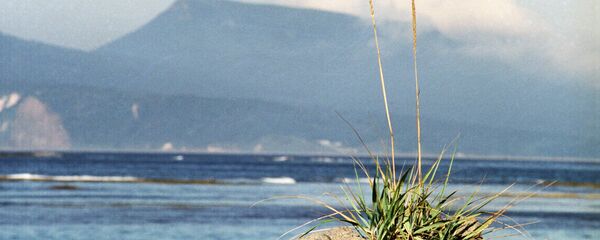 北海道 - Sputnik 日本