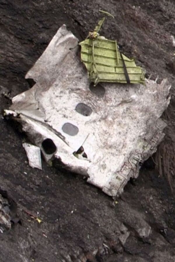 アルプス山麓に散乱した事故機の破片 - Sputnik 日本