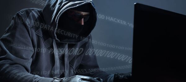 ハッカー ハッカー - Sputnik 日本