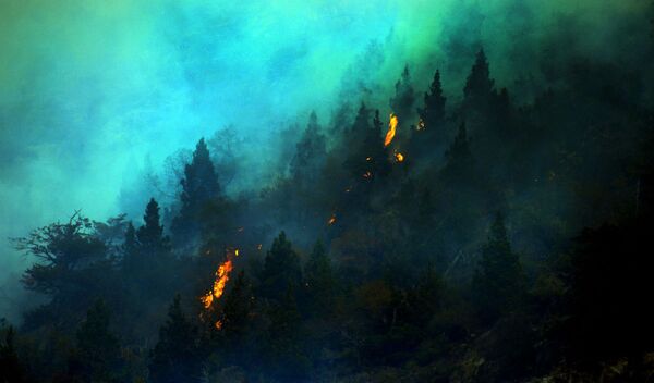 チリ、コンギリオ国立公園の森林火災 - Sputnik 日本