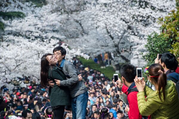 ウハン市、桜を背景に睦ぶ恋人 - Sputnik 日本