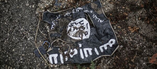 イラン軍「IS」への対抗を準備 イラン軍「IS」への対抗を準備 - Sputnik 日本