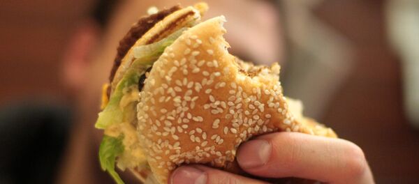 チーズバーガー チーズバーガー - Sputnik 日本