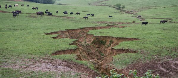 福島、事故から４年の姿 - Sputnik 日本