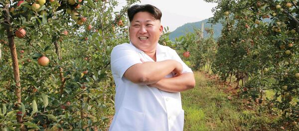 北朝鮮 金正恩氏暗殺を組織した同胞をビデオで公開【動画】 北朝鮮 金正恩氏暗殺を組織した同胞をビデオで公開【動画】 - Sputnik 日本