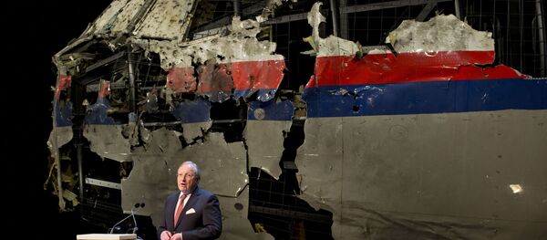 ロシア外務省 マレーシア機に関する報告書について:ロシアは情報攻撃に直面している ロシア外務省 マレーシア機に関する報告書について:ロシアは情報攻撃に直面している - Sputnik 日本