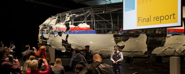 ロシア外務省:ロシアはマレーシア機事故調査の目的が真実の解明であるのか、疑問を持っている ロシア外務省:ロシアはマレーシア機事故調査の目的が真実の解明であるのか、疑問を持っている - Sputnik 日本