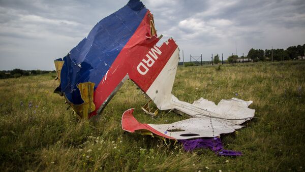 航空安全の専門家「マレー機ＭＨ17便墜落事故に関する国際法廷は、ウクライナの過失を認める可能性あり」 - Sputnik 日本