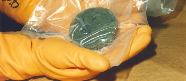 核兵器製造の技術とプルトニウムはあるが、日本はあえて作らない 核兵器製造の技術とプルトニウムはあるが、日本はあえて作らない - Sputnik 日本