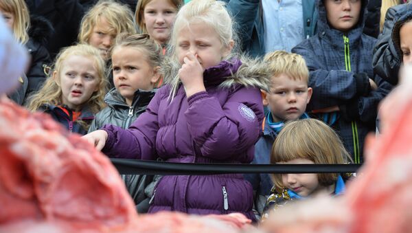 デンマークの動物園、子どもたちのためにライオンを公開解剖 - Sputnik 日本