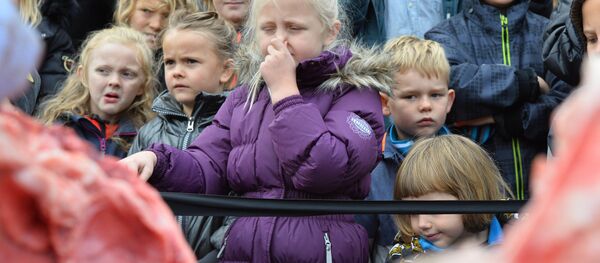 デンマークの動物園、子どもたちのためにライオンを公開解剖 デンマークの動物園、子どもたちのためにライオンを公開解剖 - Sputnik 日本