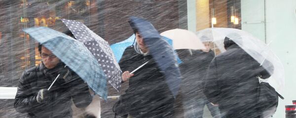 大雪で日本の交通は大混乱 大雪で日本の交通は大混乱 - Sputnik 日本