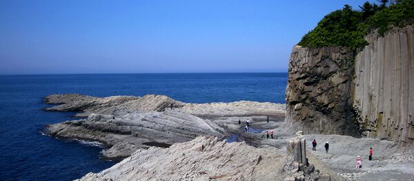 国後島の観光名所、材木岩付近の風景 国後島の観光名所、材木岩付近の風景 - Sputnik 日本