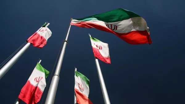 イラン国旗 - Sputnik 日本